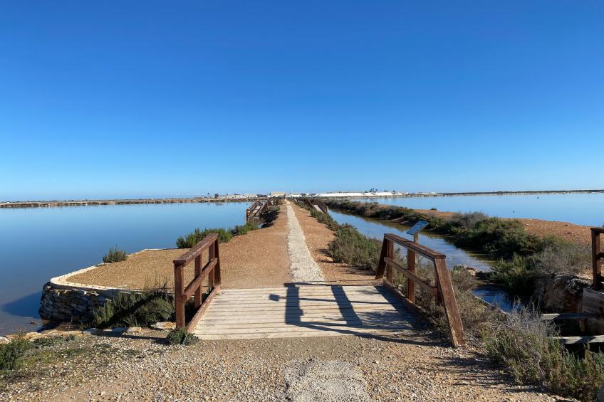 Double Room - foto 33