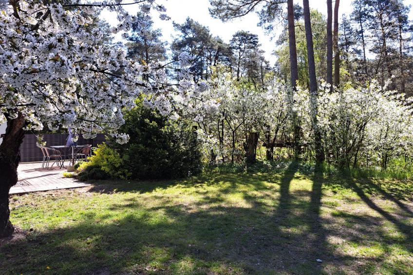 mit Terrasse mitten im Grünen - foto 5