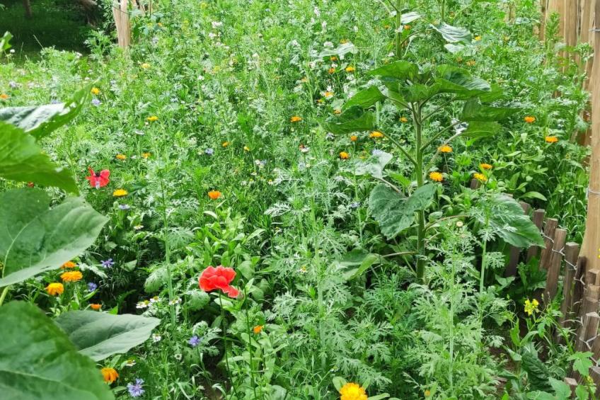 Janet Ratschkowski - foto 49