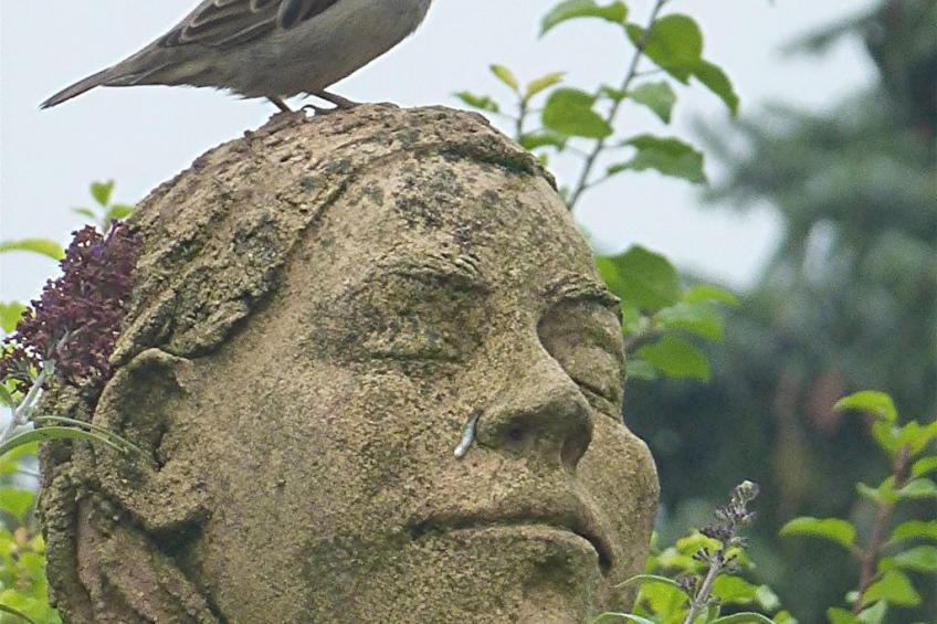 Villa Romantica - foto 33