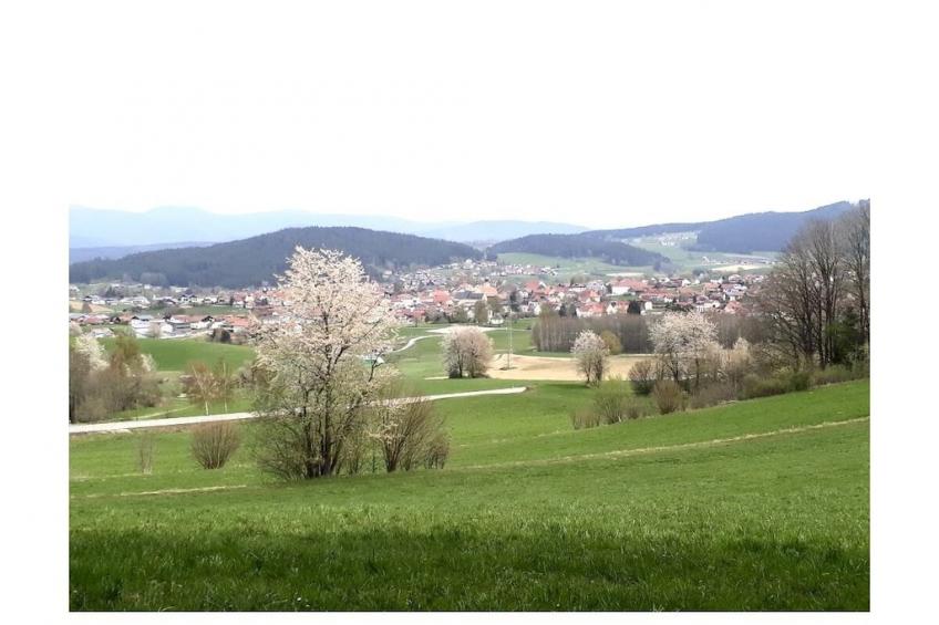 21771 - foto 26