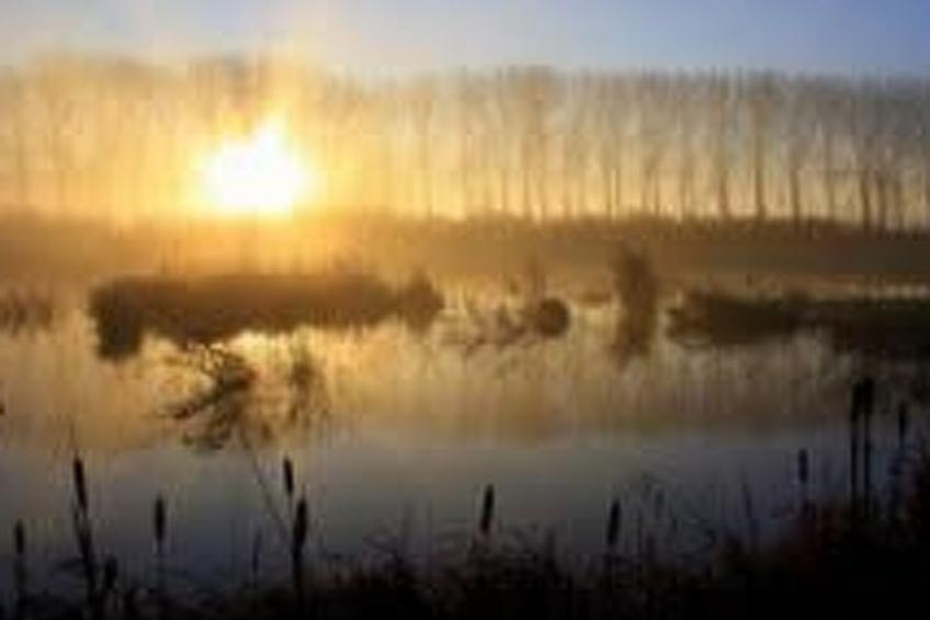 Wohnung met terras - foto 22