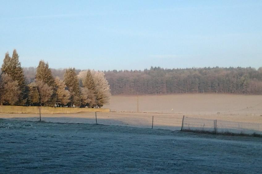 Gite Nouartais - foto 10