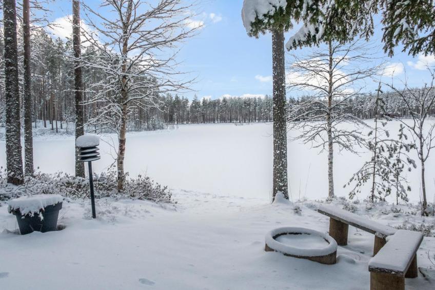 Välikosken karpalo - foto 8