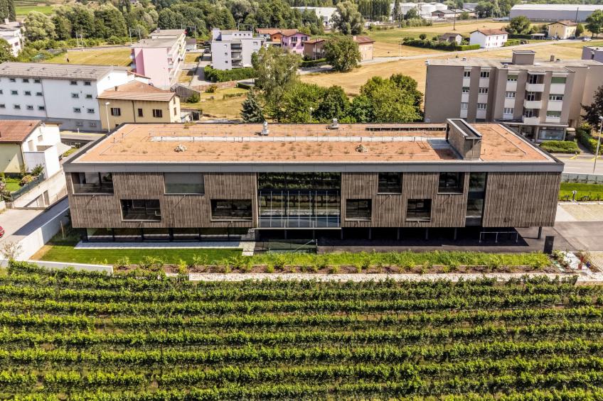 Lo Scudo di Stabio 1 Zi.Studio Süd. - foto 40