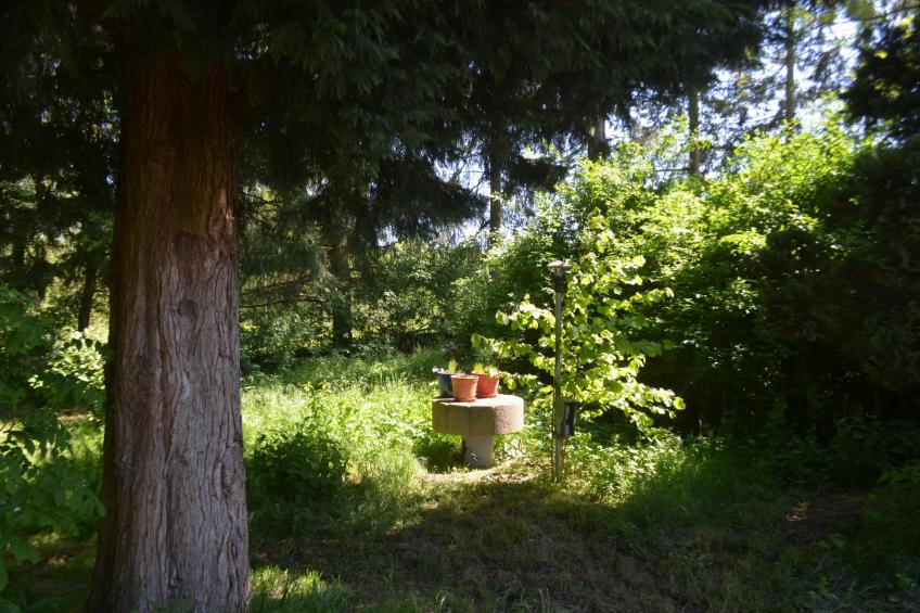 Gästehaus Kühne Fewo 2 DG & Fewo 1 OG - foto 17