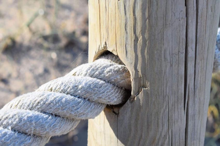 Chalets à Alcúdia - Port d'Alcúdia - foto 21