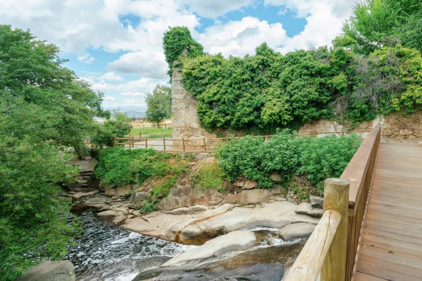 Casas Rurales Acebuche Hojiblanca - foto 23