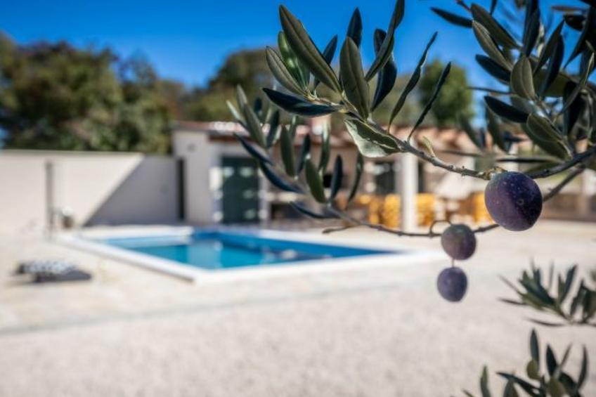 Villa Oliveto with pool - foto 26