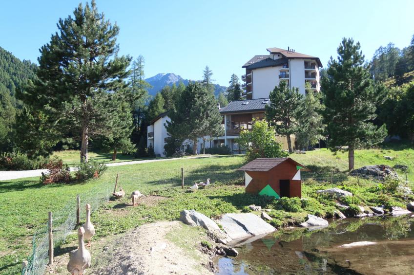 Haute-Nendaz (Siviez) (SIV135) - foto 22