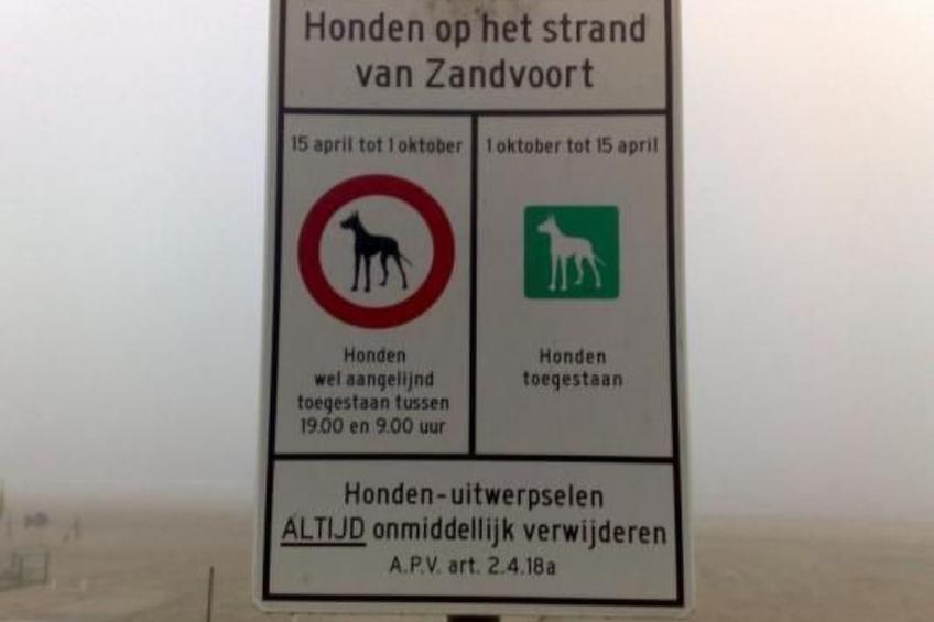Wohnung in zentraler Lage in Zandvoort - foto 17