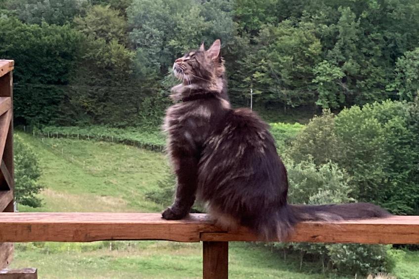 Le Mas dAmour - foto 44