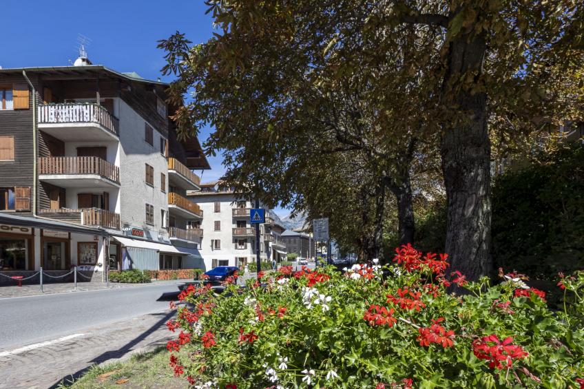 San Anton - foto 26