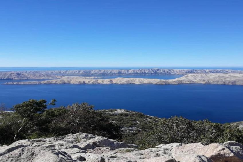 Apartments Sun-Mauro VII - foto 22