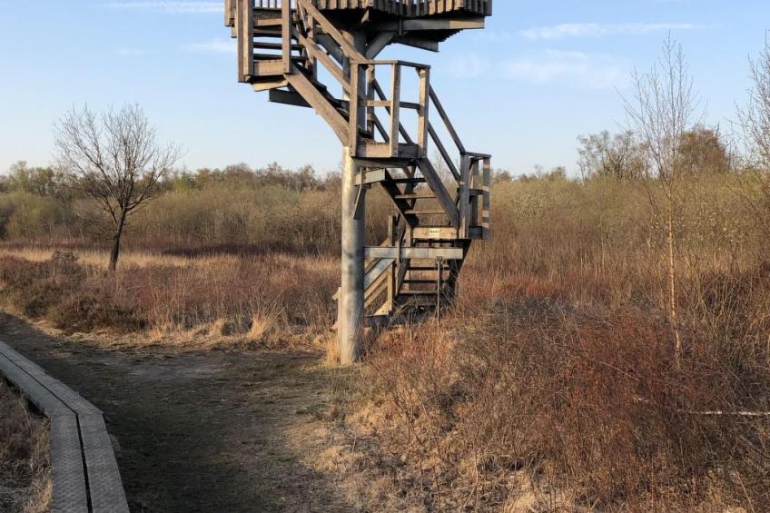 Geräumiges Ferienhaus mitten im Wald - foto 23