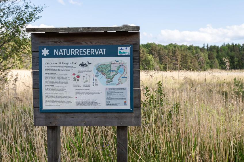 Harge Sörgård (NAK043) - foto 46