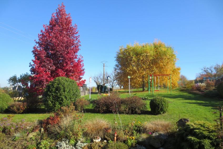 LES BRIMBELLES - foto 27