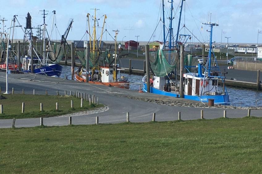 Ferienhuus Nordsee - foto 36