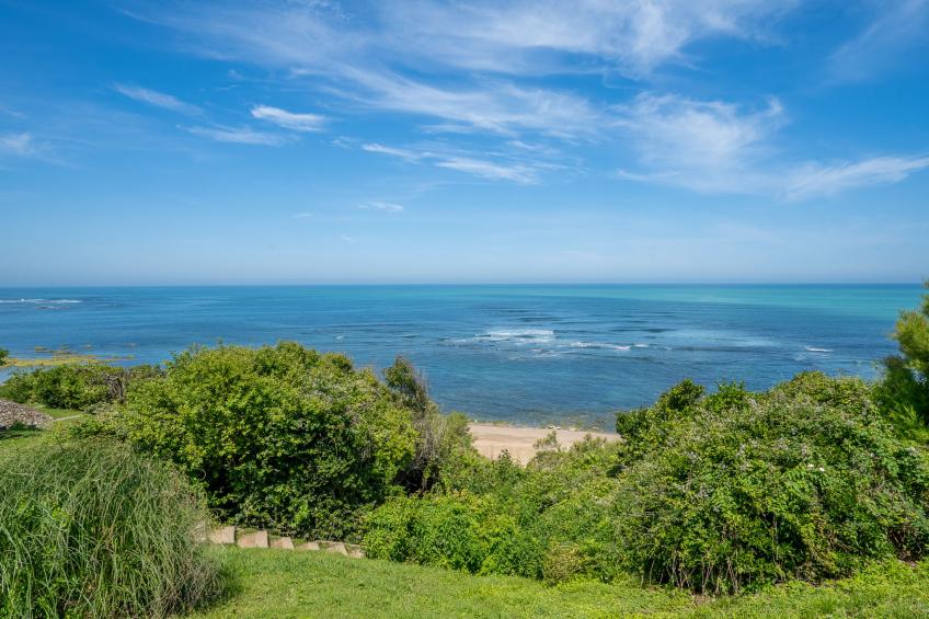 Argi betean - foto 18