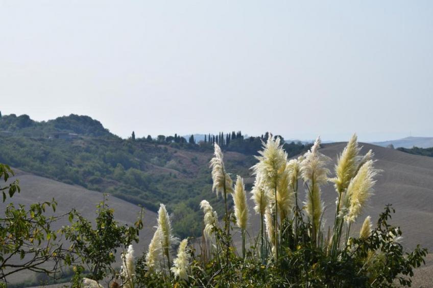 Stalla Rossa - foto 33