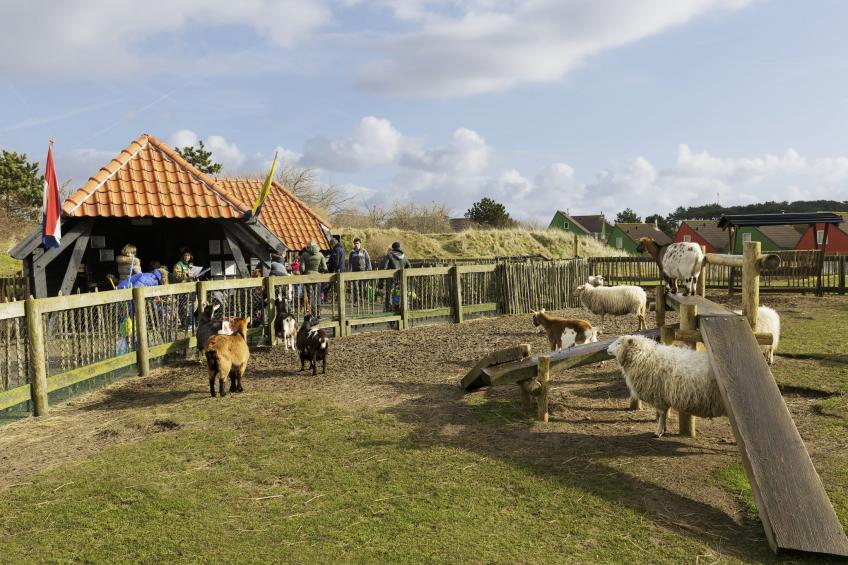 Center Parcs Zandvoort - foto 12