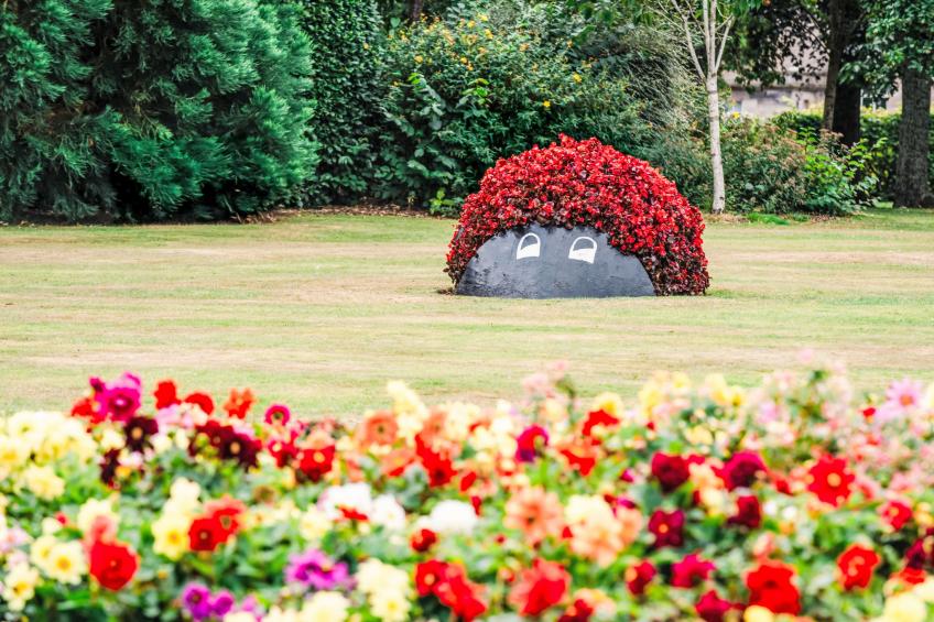 Forres View - foto 31