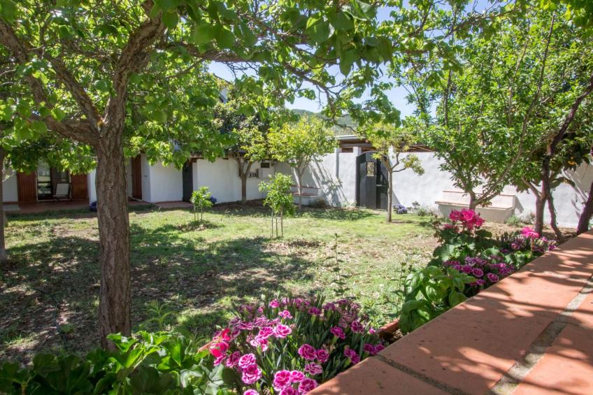 Natur, ökologische Nachhaltigkeit, nur für Erwachsene, Meer in der Nähe - foto 10