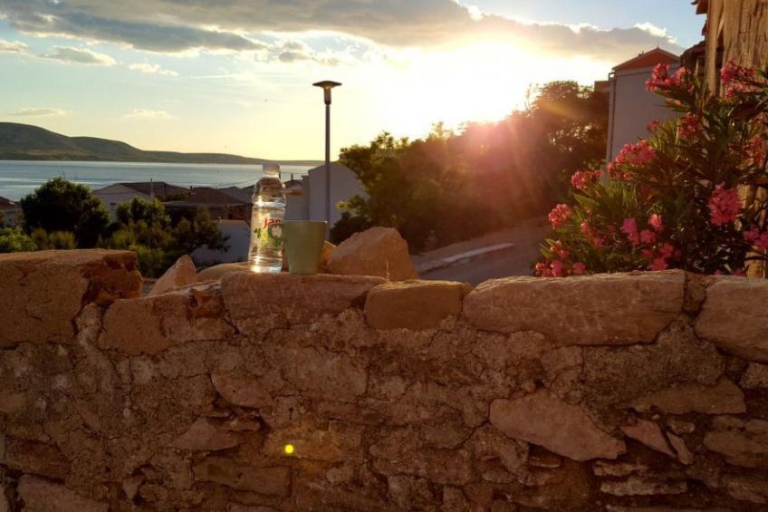 mit Blick auf das Wasser - foto 28