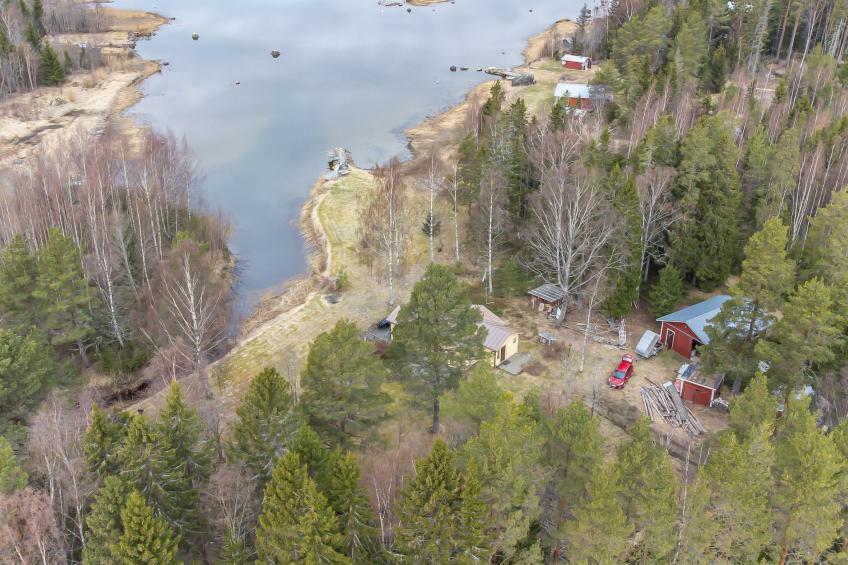 Merenkurkku - foto 31