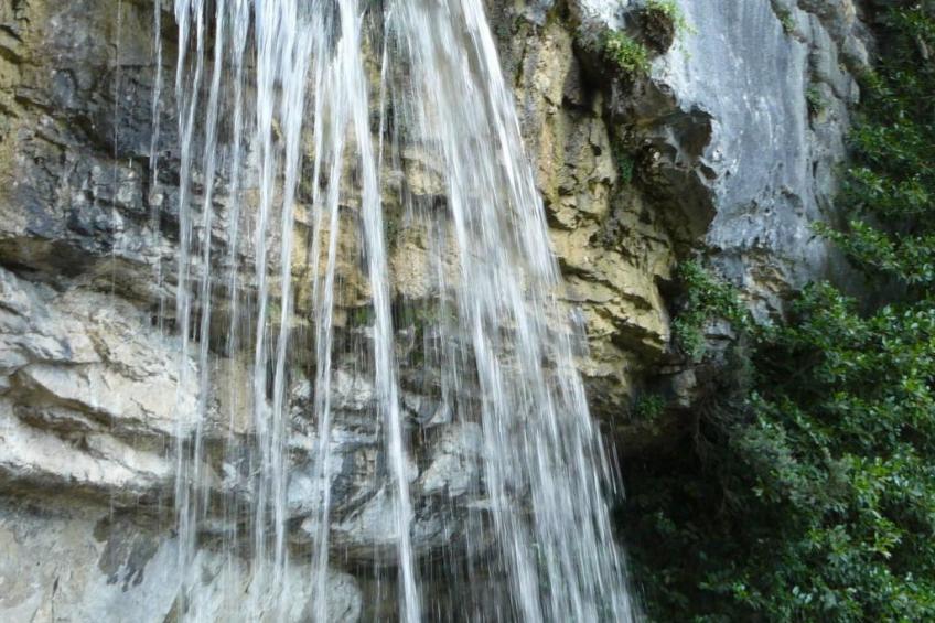 "Au Crêt du Bois" (Auf dem Wald) - foto 21