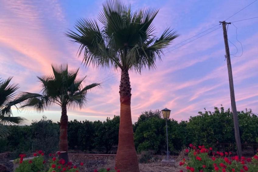 Stilvolles Landhaus an der Algarve - foto 44