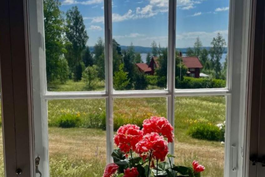 Summer House Sweden in Rättvik for 9 people - foto 23