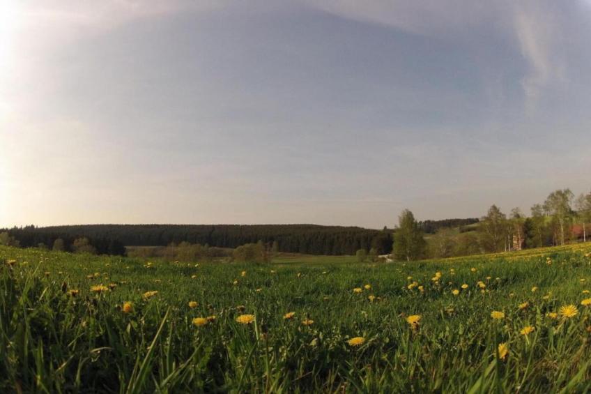 Ferienhaus im Harz - foto 26
