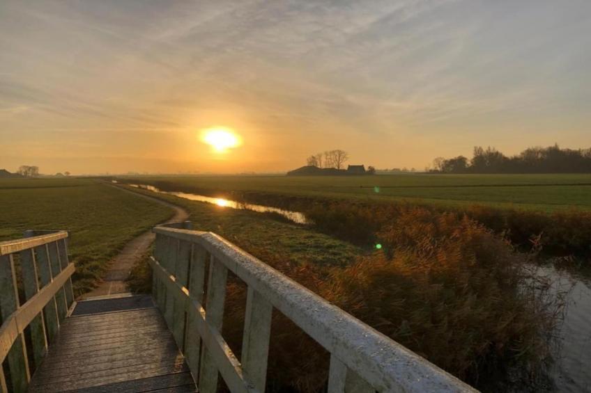 Angema Goet - foto 30