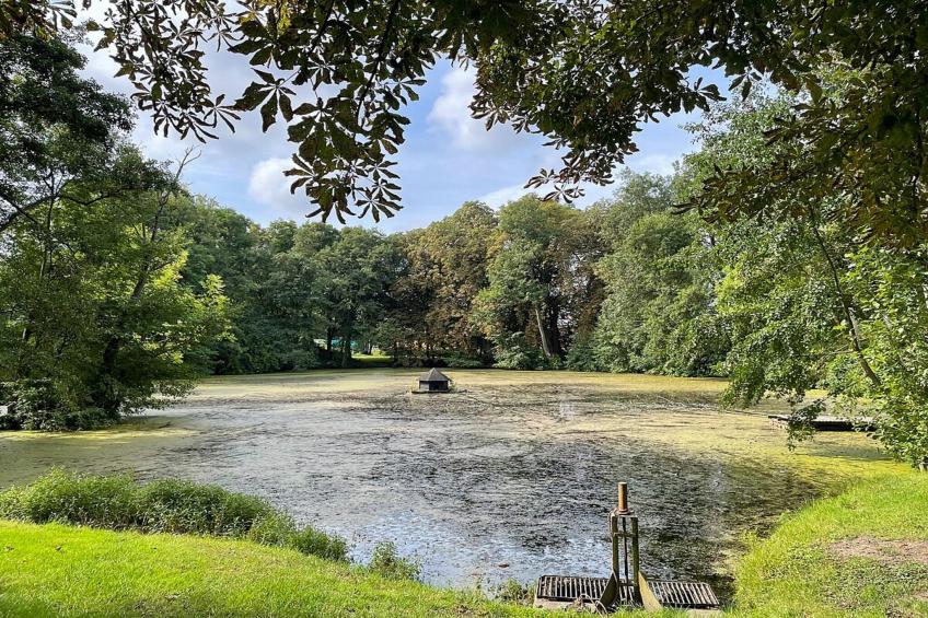 Feldblick 2 - foto 23