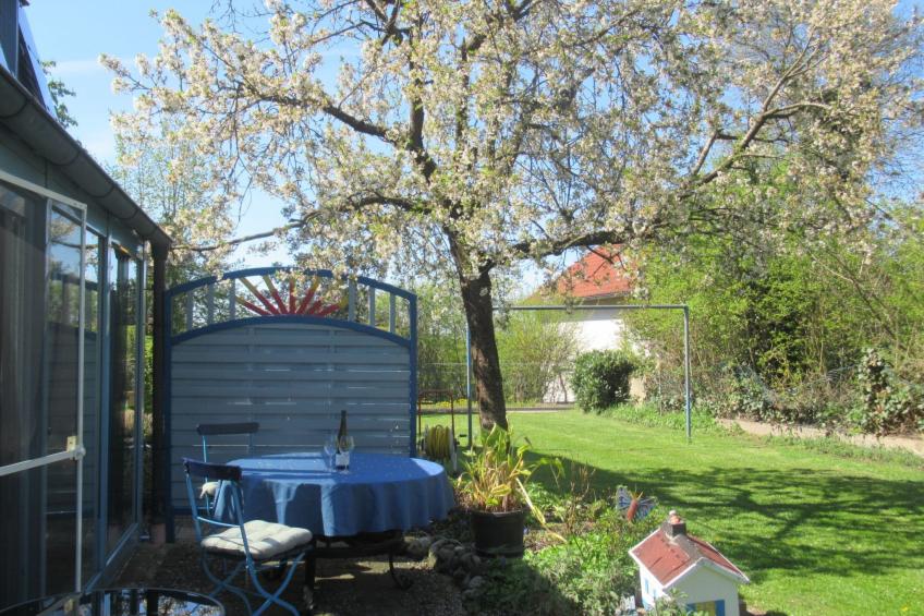 Blaues Haus - foto 12