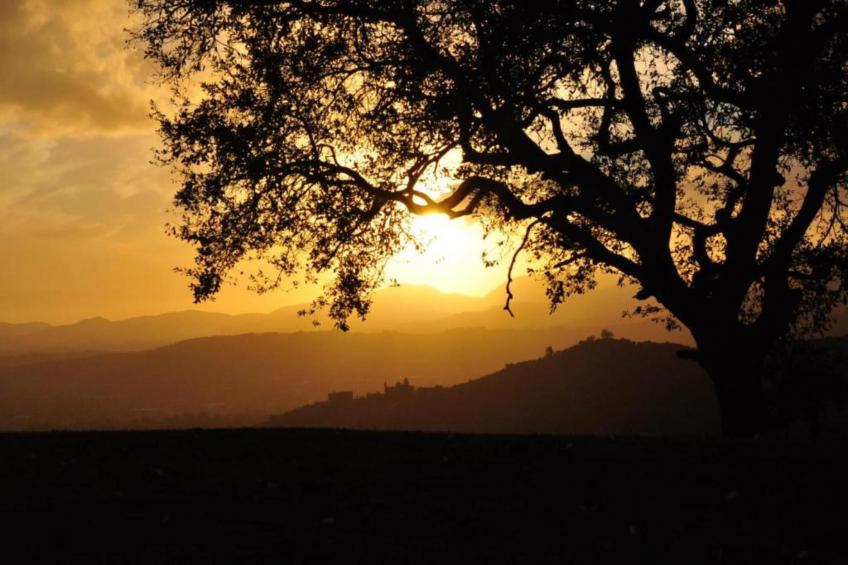 Collina Lagomare - foto 35