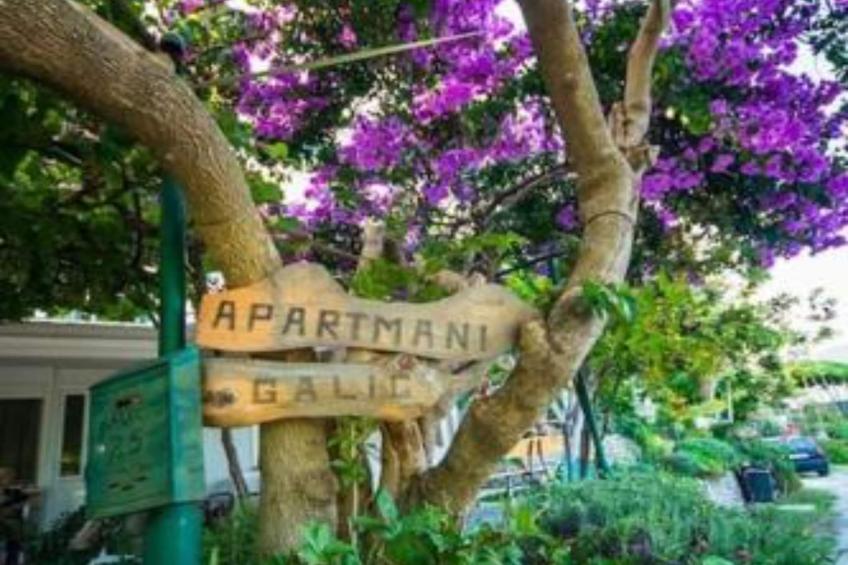 One-Bedroom Apartment With Lake View - foto 29