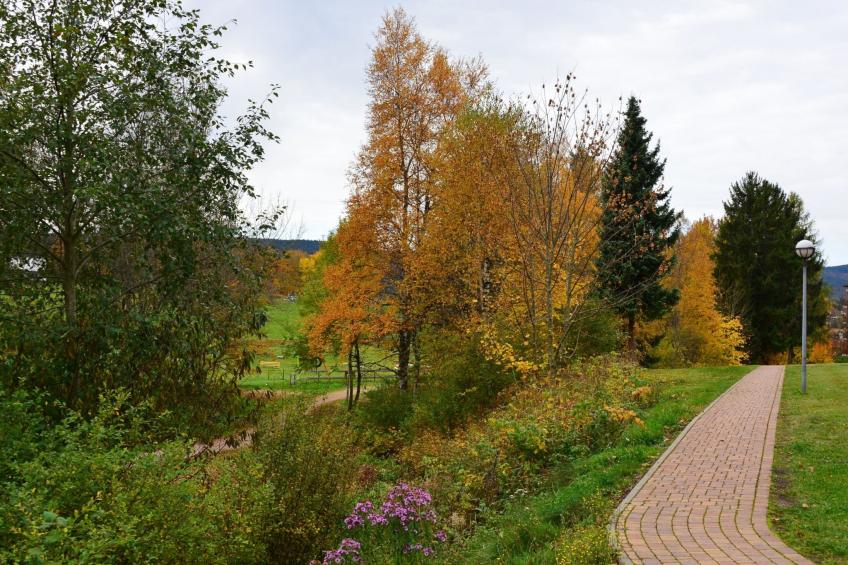 Appartement Seestern - foto 20