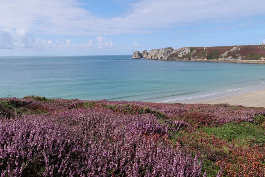 "Les Hortensias" (Die Hortensien) - foto 33
