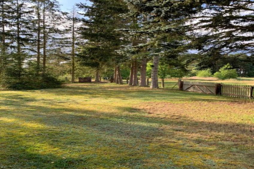 Schlafen unter Reet - Naturhof - Ahlbeck am Haff / Nr 1 - foto 32