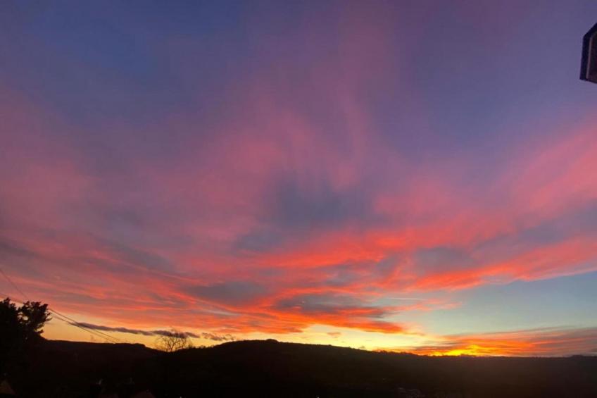 Nelly's Nook - foto 21