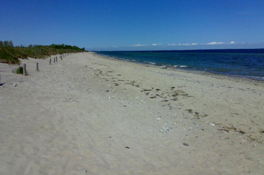 Finkenbusch - foto 16