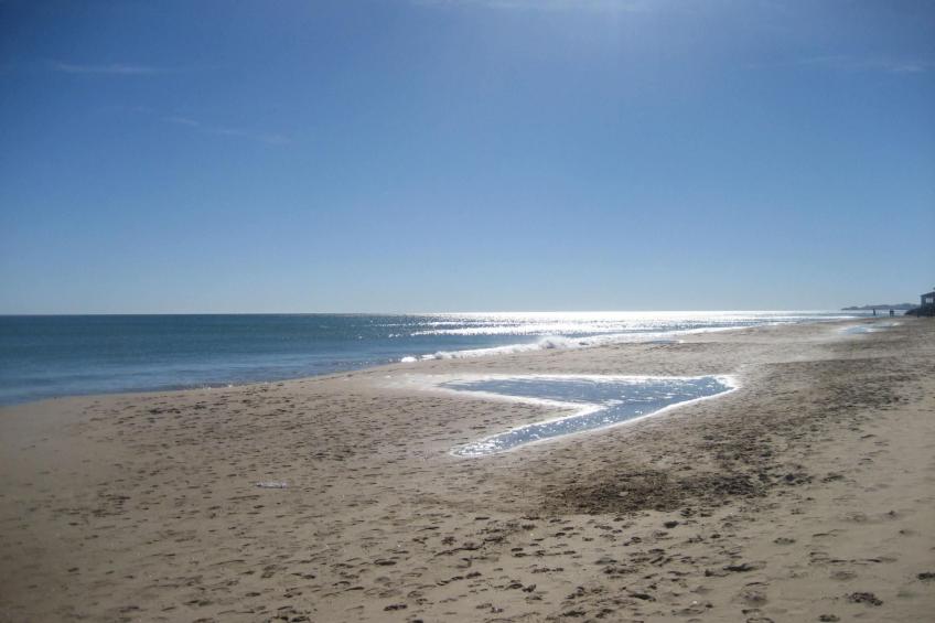 Casa Leticia in Las Beatas - foto 22