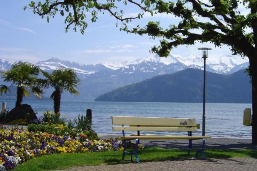 Studio "Rubi" Weggis