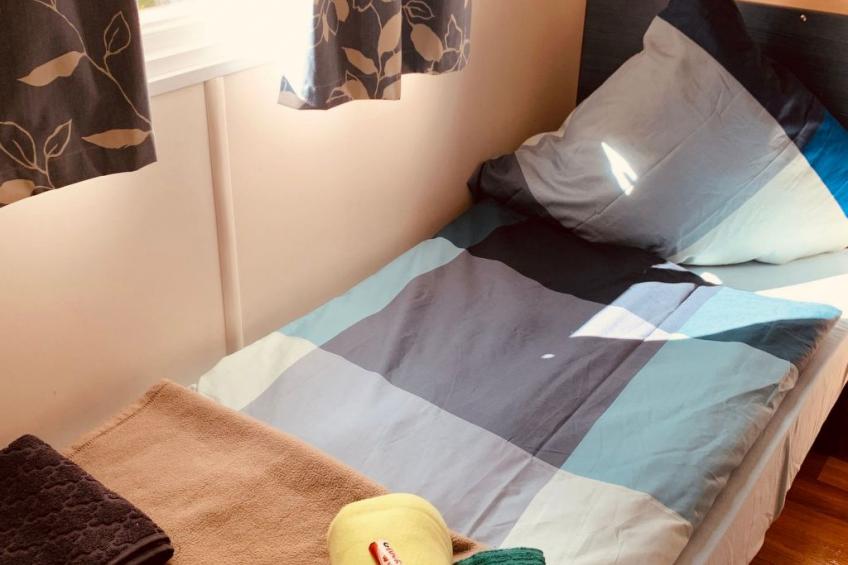 Smart Home Paris, Europapark, Rulantica ca. 15min - foto 6