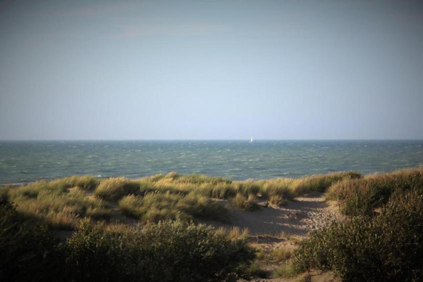 Rosalie 0301 3B - foto 32