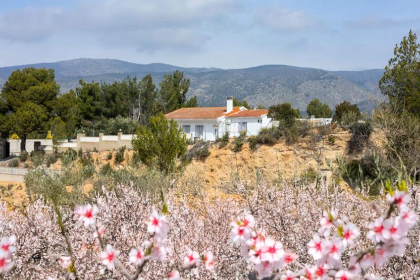 Maison à Ibi - foto 24