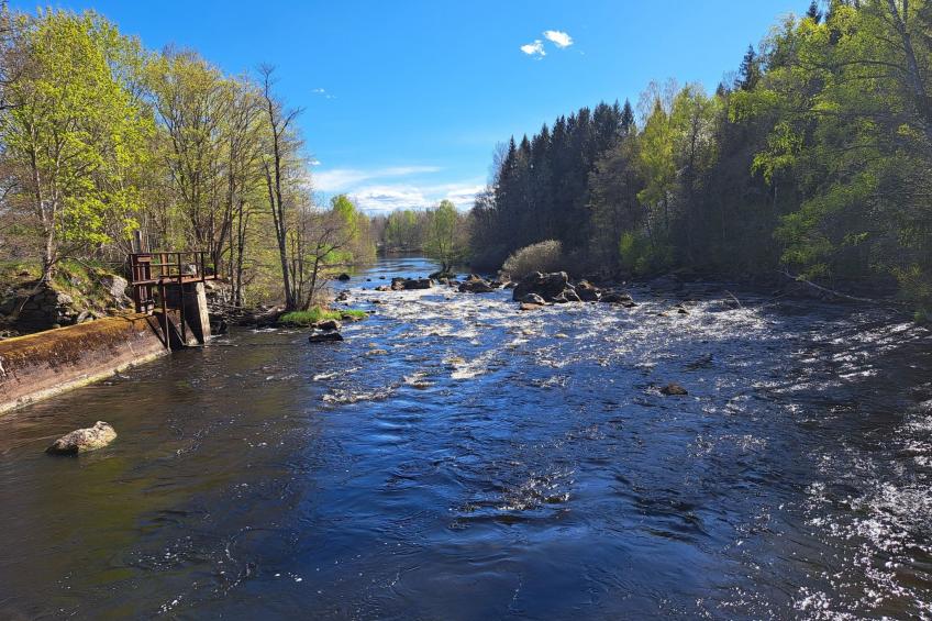 Im Herzen Smålands - foto 37