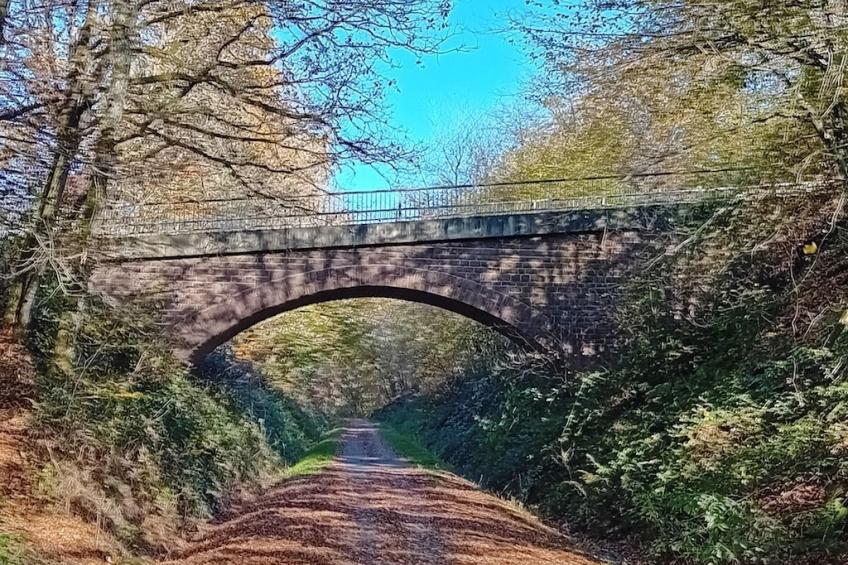 39644 - foto 23